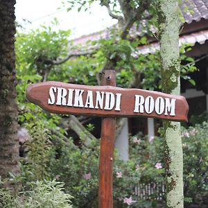 Kamar standard